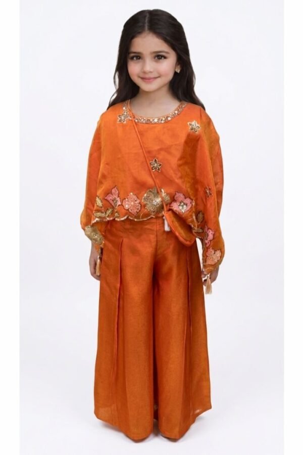 Girls Orange Embroidered Set