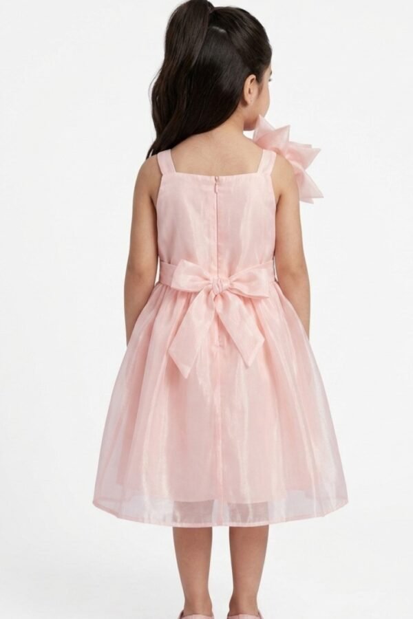 Pink Barbie Floral Party Frock