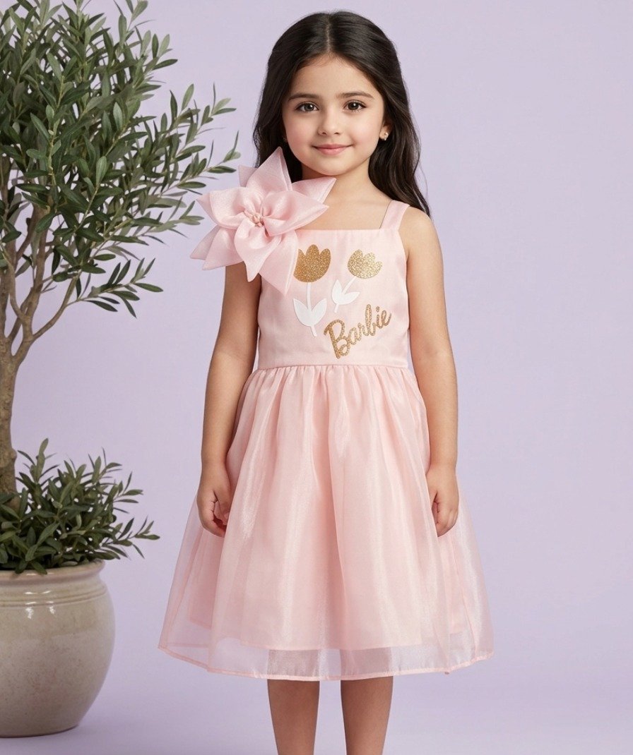 Pink Barbie Floral Party Frock