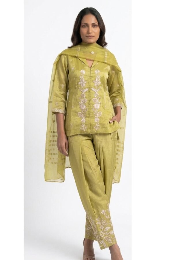 Olive Embroidered Salwar Suit